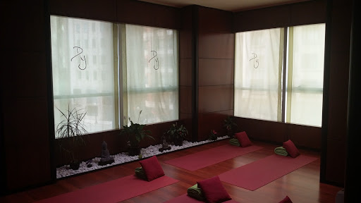 Dharana Yoga Centro