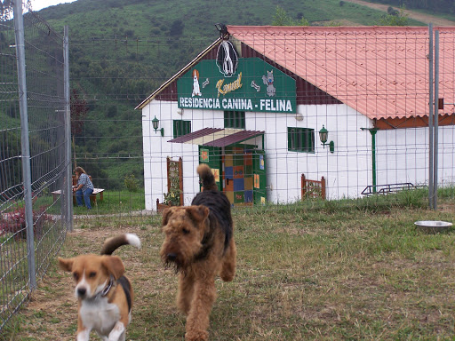 Kennel Residencia Canina Felina