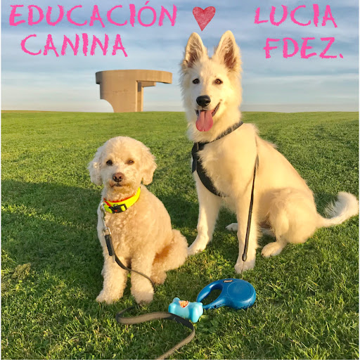 Educador canino Lucía Fernández Rosa- Gijón/Luanco