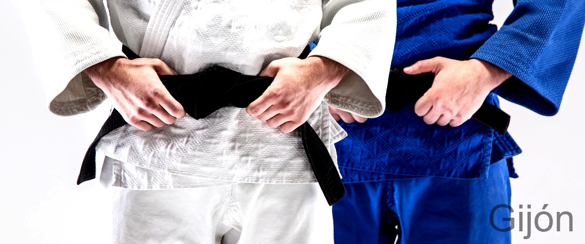 Las 5 mejores Escuelas de Taekwondo en Gijón